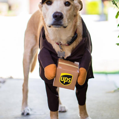 Delivery of pet dog and cat clothes